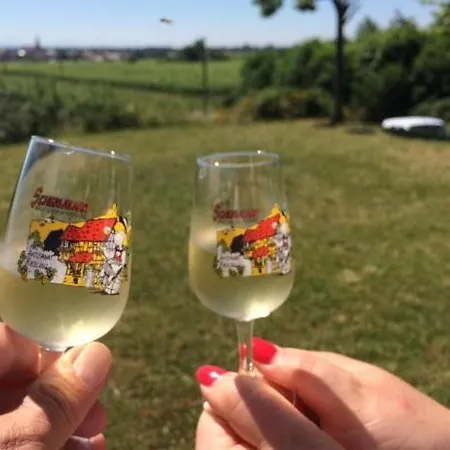 Du Rittersberg 아파트 *