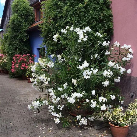 Du Rittersberg Scherwiller