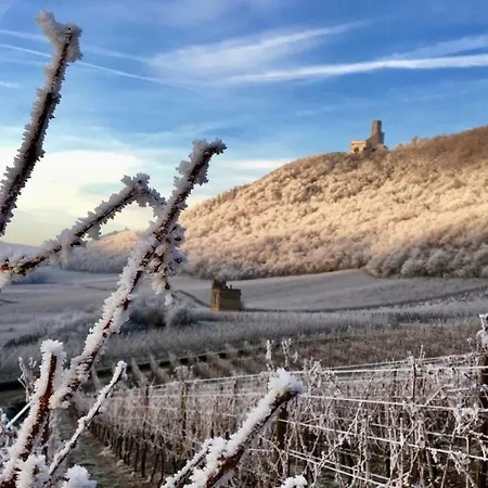 아파트 Du Rittersberg