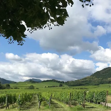 Du Rittersberg Scherwiller