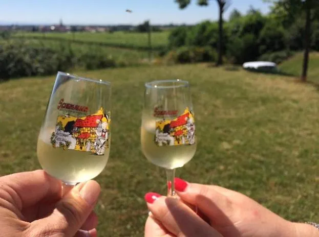 Du Rittersberg Apartment *