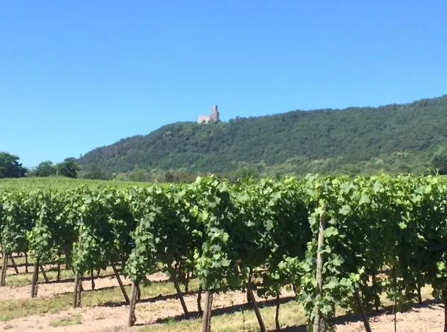 Du Rittersberg Apartment