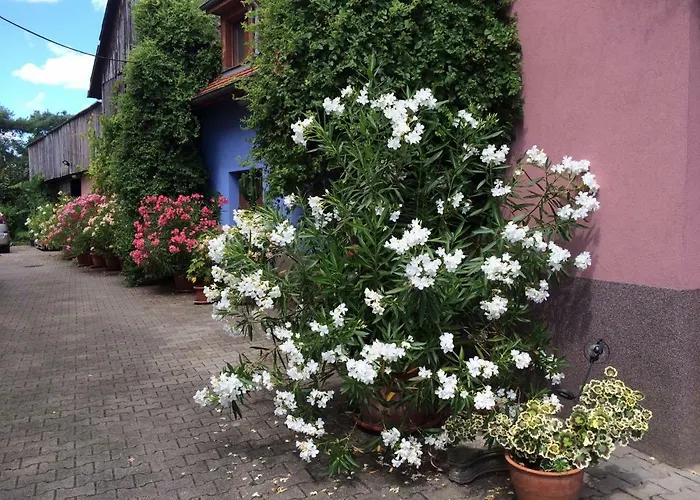 Du Rittersberg Scherwiller