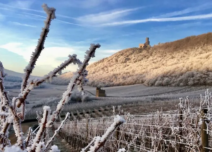 Apartment Du Rittersberg