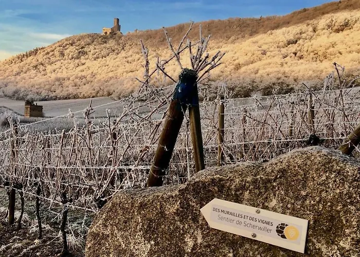 Du Rittersberg Apartment Scherwiller