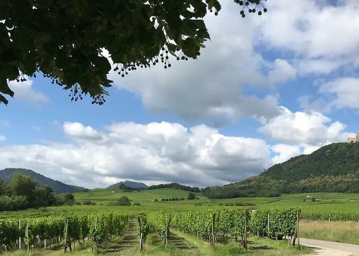 Du Rittersberg Scherwiller